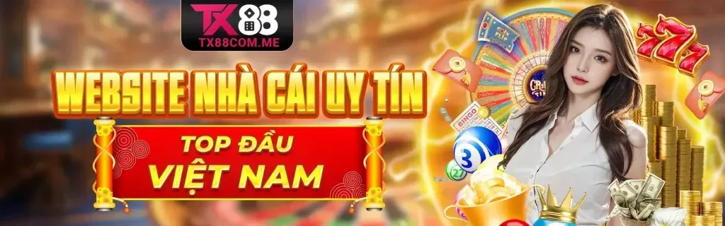 Hình ảnh giới thiệu mb6666 Code, nền tảng cá cược trực tuyến hàng đầu Việt Nam